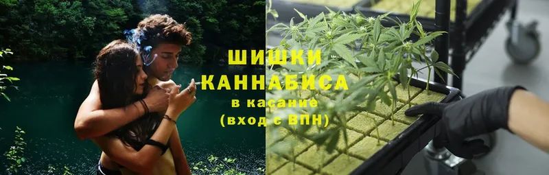 гидра tor  Шарыпово  Бошки марихуана Bruce Banner  продажа наркотиков 